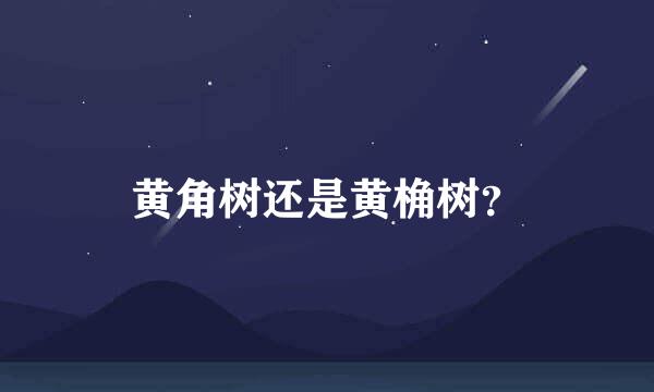 黄角树还是黄桷树？