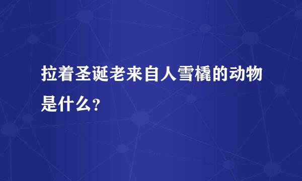 拉着圣诞老来自人雪橇的动物是什么？