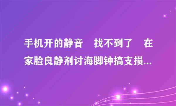 手机开的静音 找不到了 在家脸良静剂讨海脚钟搞支损里找不到 怎么办？