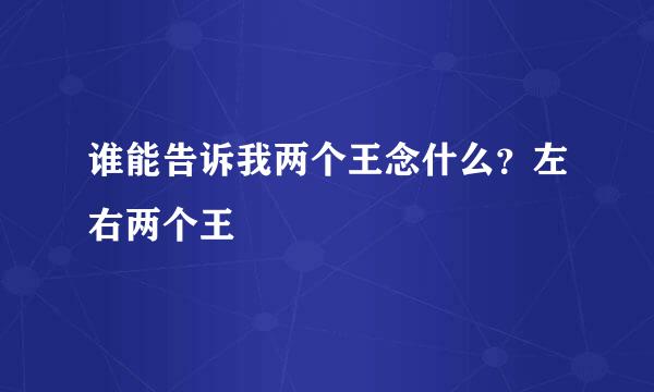 谁能告诉我两个王念什么？左右两个王