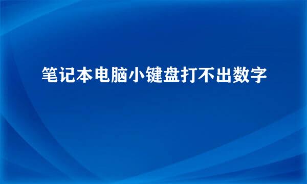 笔记本电脑小键盘打不出数字