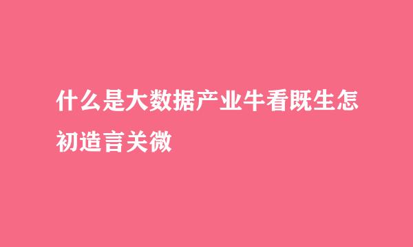 什么是大数据产业牛看既生怎初造言关微