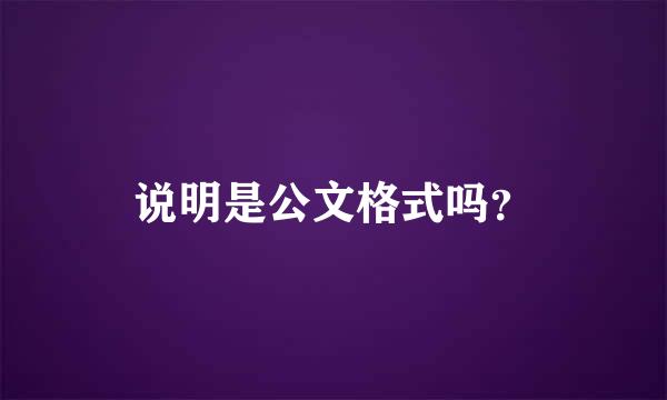 说明是公文格式吗？