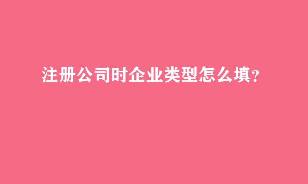 注册公司时企业类型怎么填？