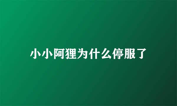 小小阿狸为什么停服了