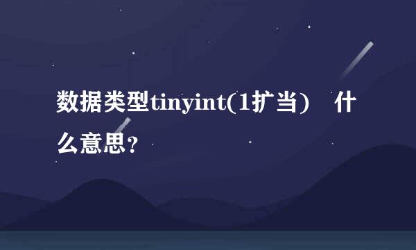 数据类型tinyint(1扩当) 什么意思？