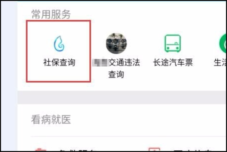 农村社保怎么查询个人账户？