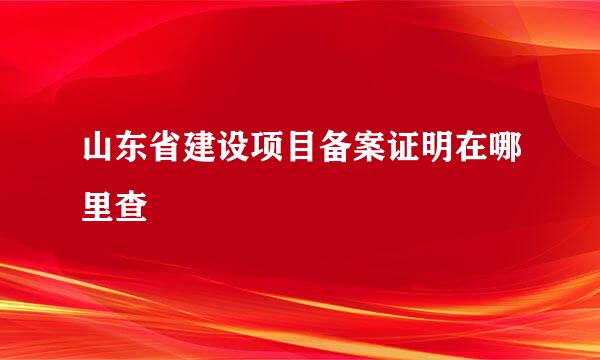 山东省建设项目备案证明在哪里查