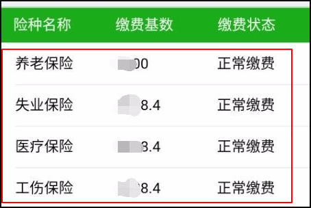 农村社保怎么查询个人账户？