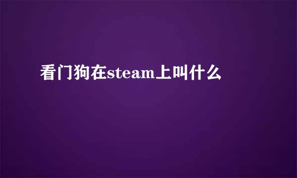 看门狗在steam上叫什么