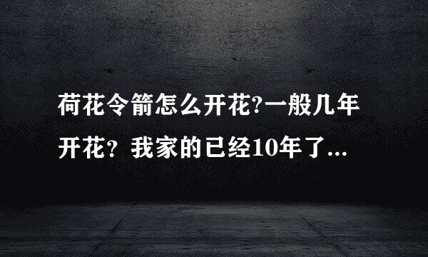 荷花令箭怎么开花?一般几年开花？我家的已经10年了，还是不开花呀！