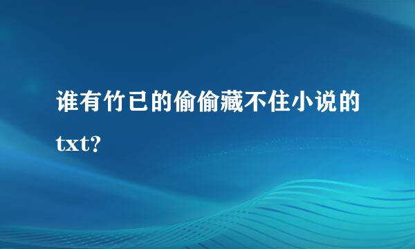 谁有竹已的偷偷藏不住小说的txt？