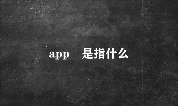 app 是指什么