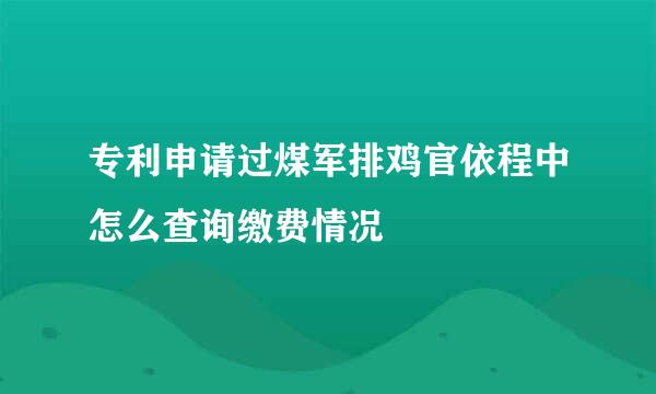 专利申请过煤军排鸡官依程中怎么查询缴费情况