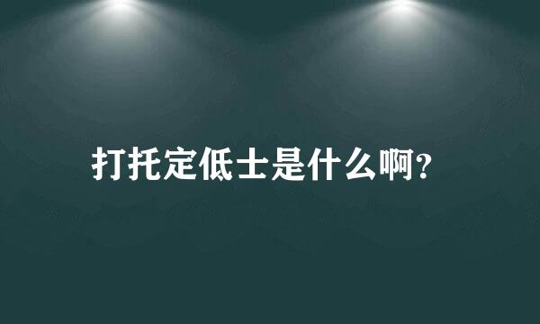 打托定低士是什么啊？