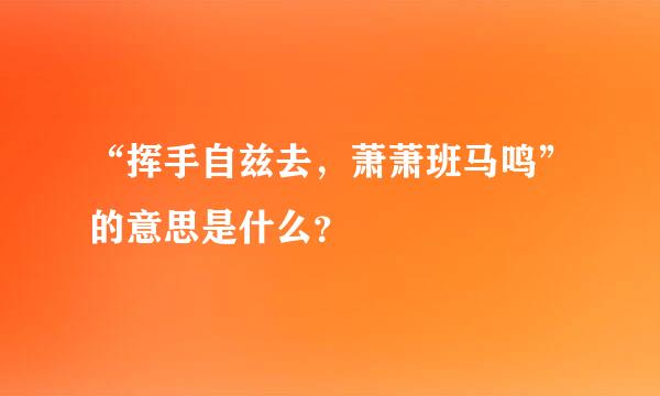 “挥手自兹去，萧萧班马鸣”的意思是什么？