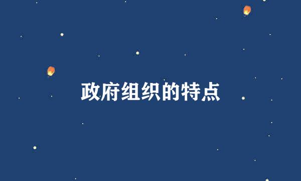 政府组织的特点