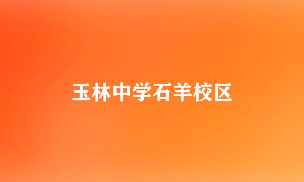 玉林中学石羊校区