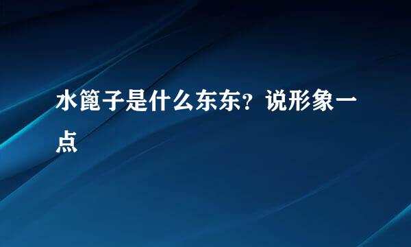 水篦子是什么东东？说形象一点