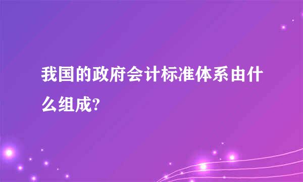 我国的政府会计标准体系由什么组成?