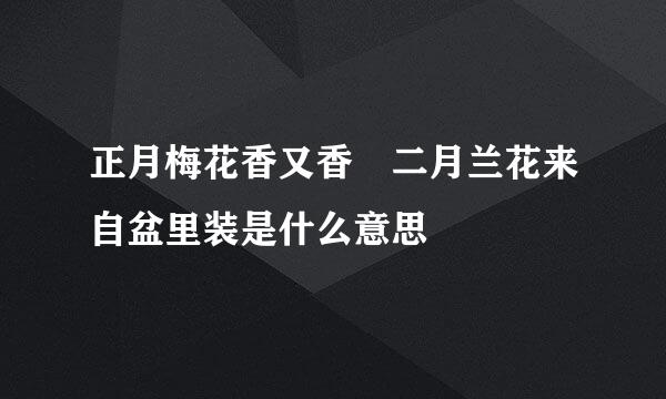 正月梅花香又香 二月兰花来自盆里装是什么意思