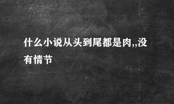 什么小说从头到尾都是肉,,没有情节