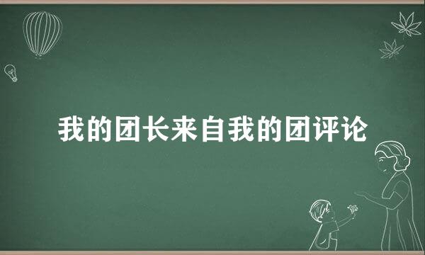 我的团长来自我的团评论