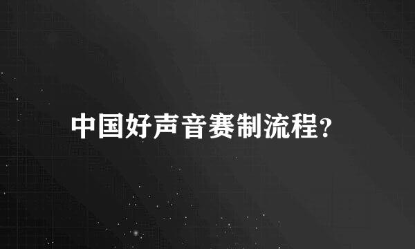 中国好声音赛制流程？