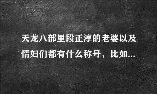 天龙八部里段正淳的老婆以及情妇们都有什么称号，比如:修罗刀秦红棉