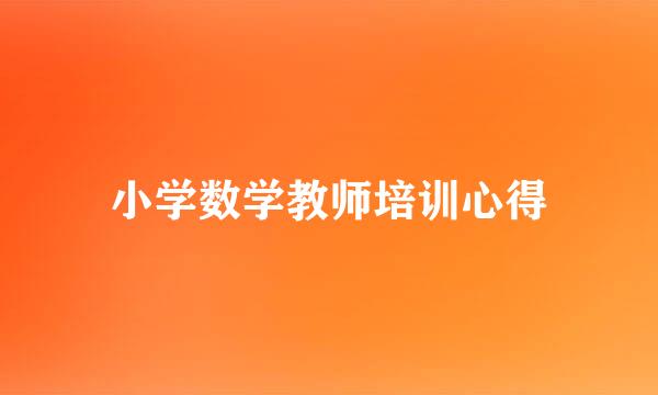 小学数学教师培训心得