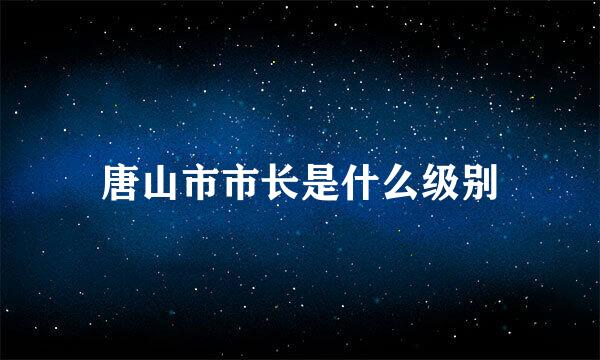 唐山市市长是什么级别