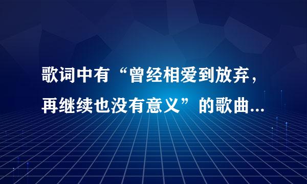 歌词中有“曾经相爱到放弃，再继续也没有意义”的歌曲名是什么？