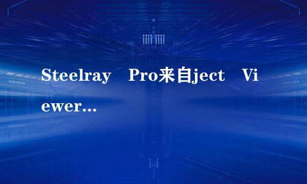 Steelray Pro来自ject Viewer key