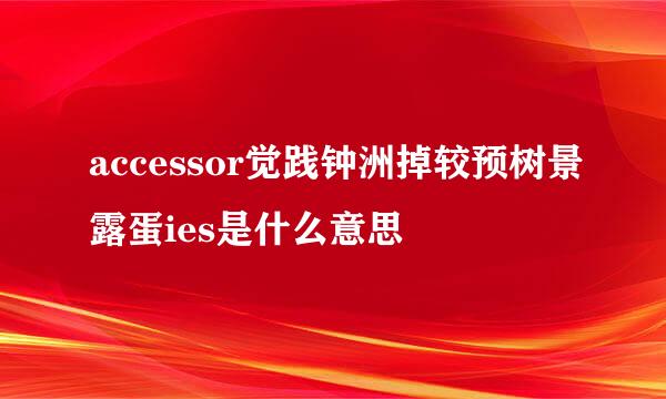 accessor觉践钟洲掉较预树景露蛋ies是什么意思