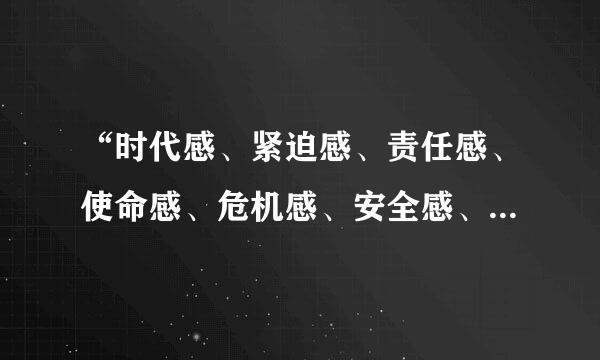 “时代感、紧迫感、责任感、使命感、危机感、安全感、优越感、存在感、归属感”等词语的意思是什么？