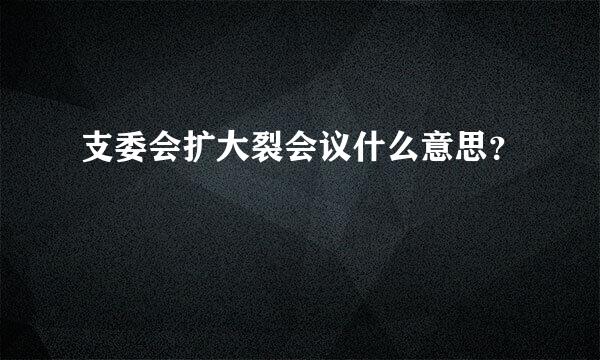 支委会扩大裂会议什么意思？