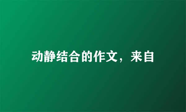 动静结合的作文，来自