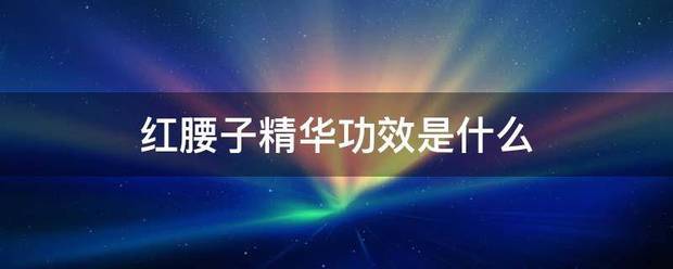 红腰子精华功效是什么