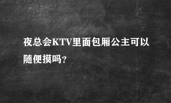 夜总会KTV里面包厢公主可以随便摸吗？