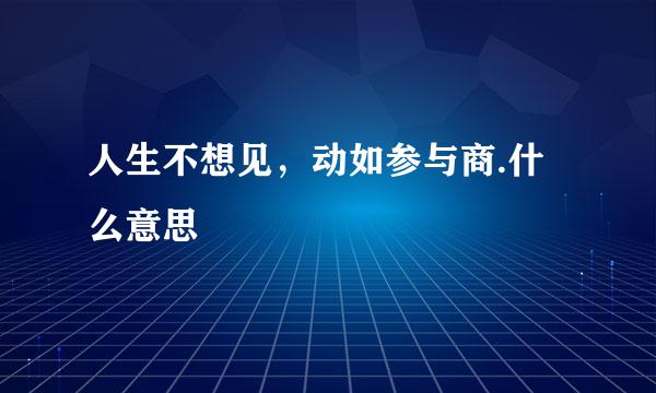 人生不想见，动如参与商.什么意思