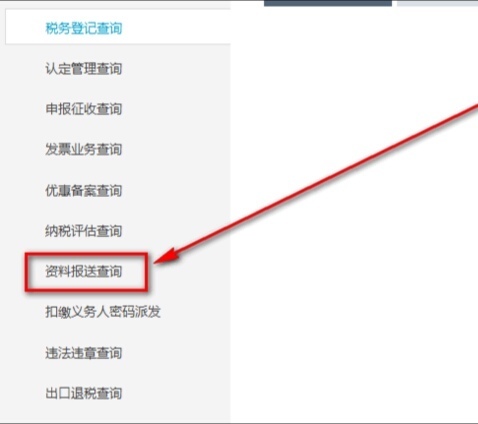 怎特照罗样在国税电子税务局打印上个月的财务报表