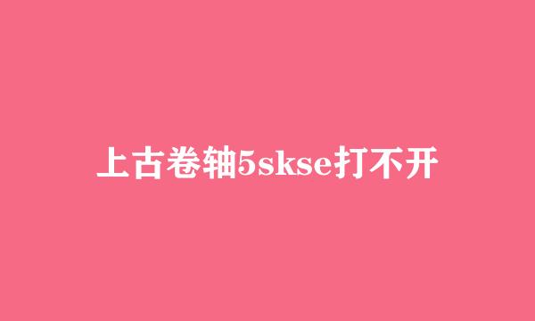 上古卷轴5skse打不开