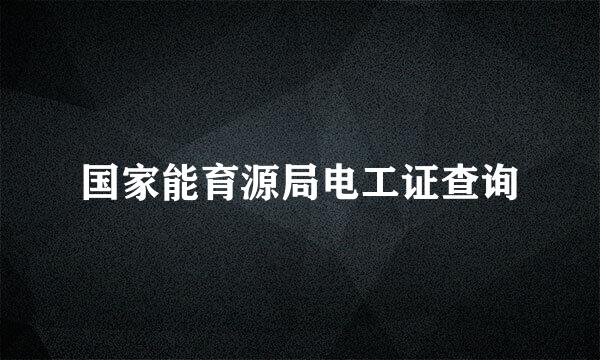 国家能育源局电工证查询