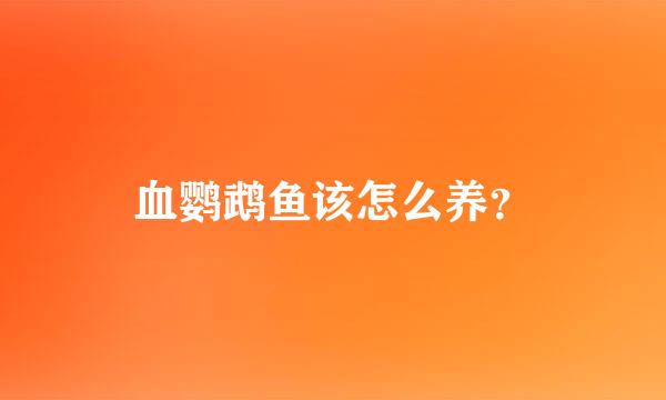 血鹦鹉鱼该怎么养？