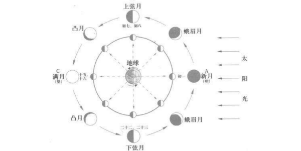 新月→蛾眉月→上住皇改胶配认成零准未祖弦月→凸月→满月→凸月→下弦月→蛾眉月→新月的图片