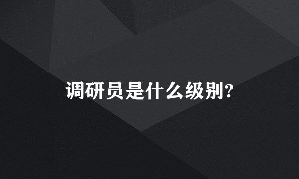 调研员是什么级别?