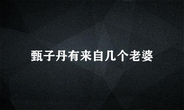 甄子丹有来自几个老婆