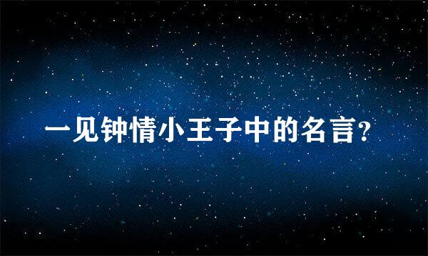 一见钟情小王子中的名言？