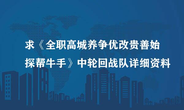 求《全职高城养争优改贵善始探帮牛手》中轮回战队详细资料