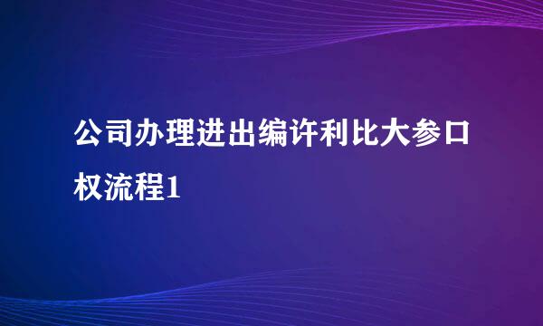 公司办理进出编许利比大参口权流程1